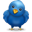 Follow Us on Twitter